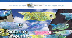 Desktop Screenshot of porthopehbia.com