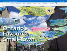 Tablet Screenshot of porthopehbia.com